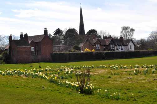 In the Spring the children's bulbs flower in the